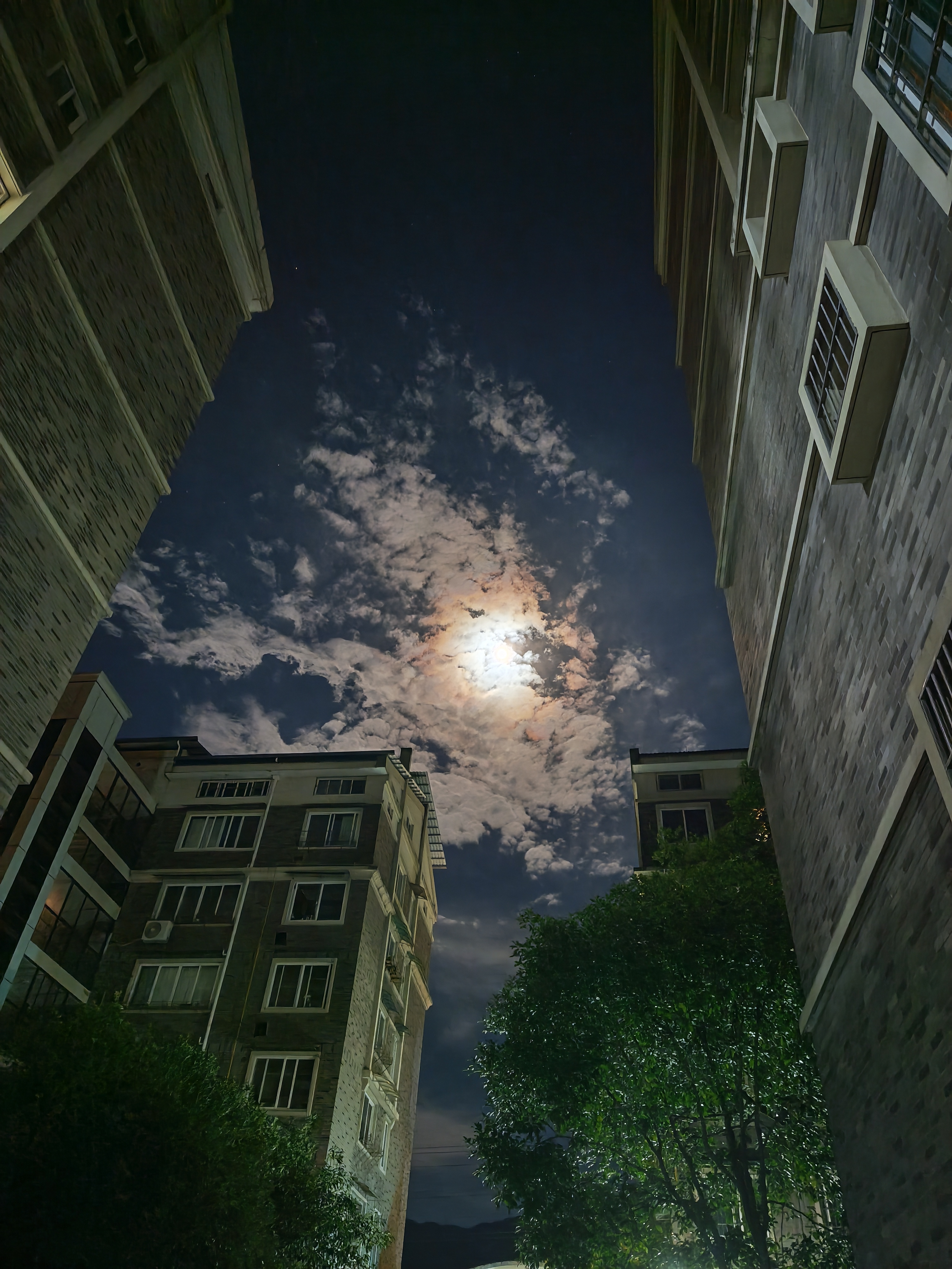 月亮大又圆