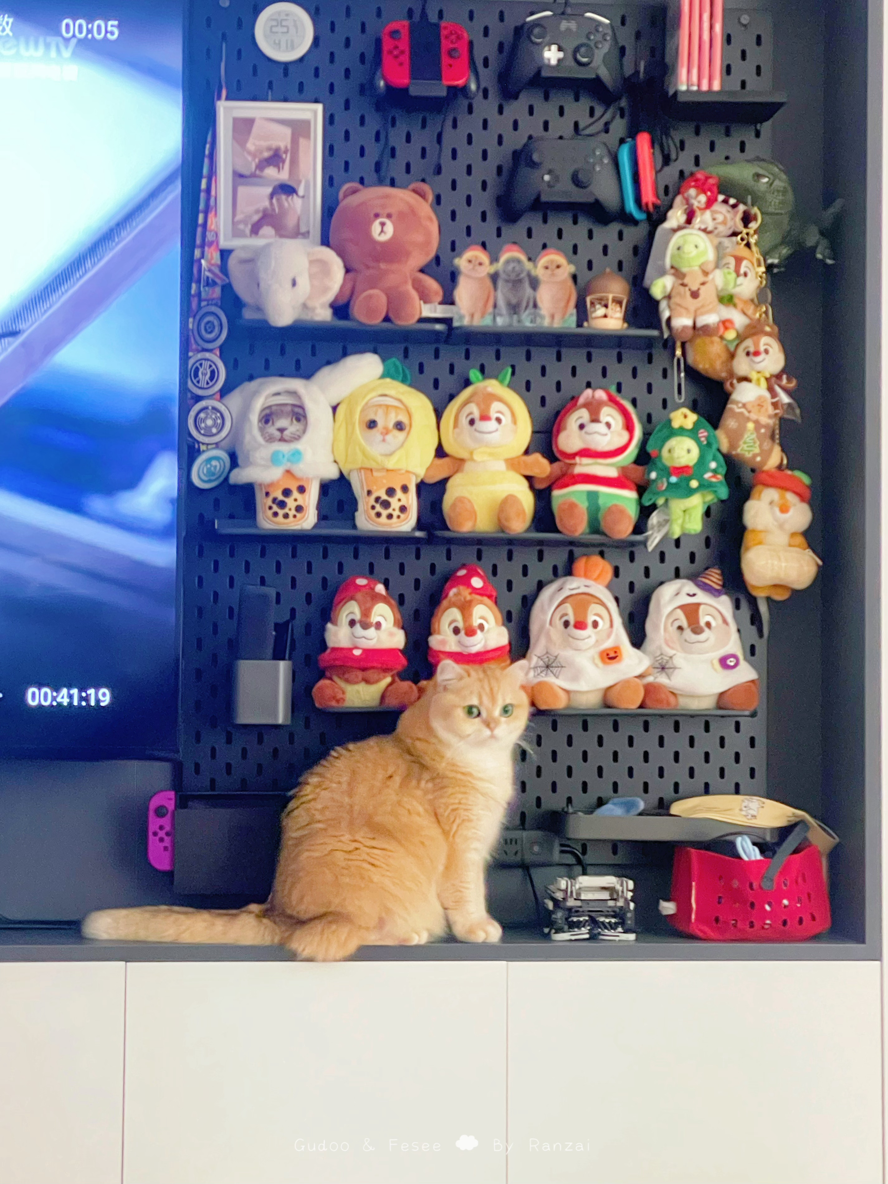 你可爱你可爱你可爱[送花花]#菇冬怎么肥四[超话]##动物奇遇记# ​​​