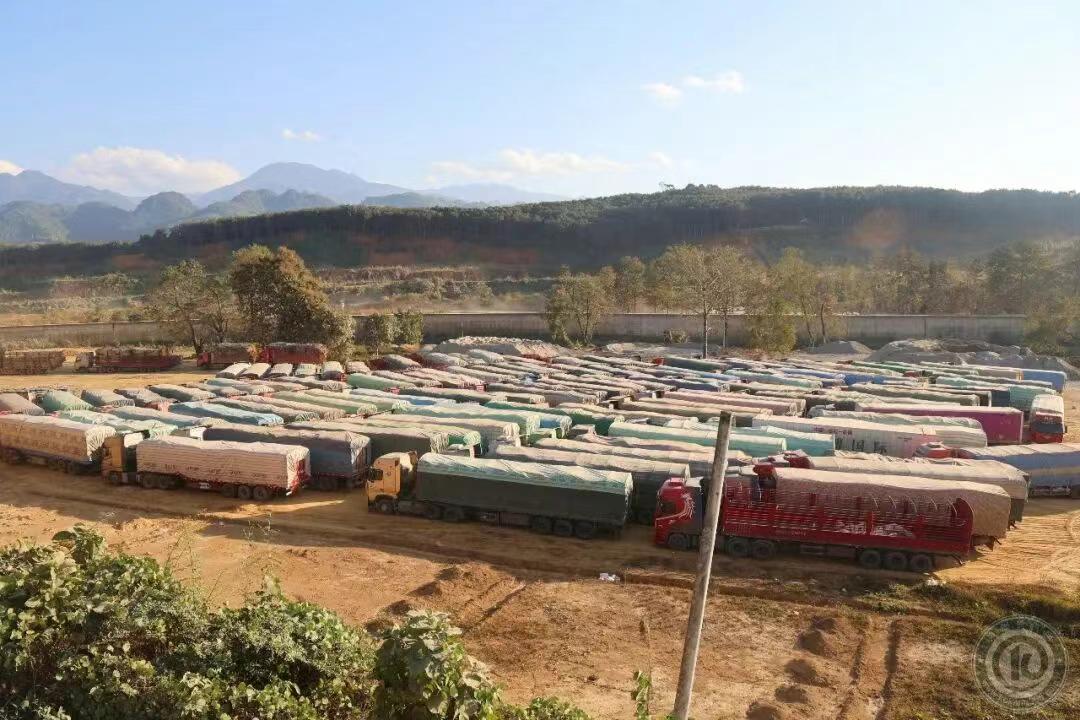 缅北清水河口岸每天的甘蔗入境车辆是100辆左右！勐古县的畹町口岸大约是50辆车左