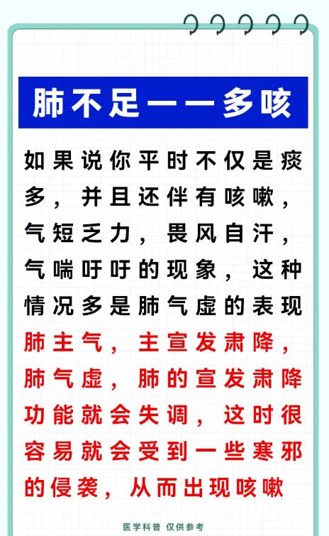 脏腑状态与身体表现：肺肾肝脾不足的典型信号