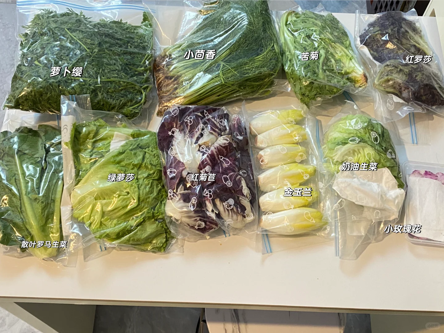 本周兔兔蔬菜