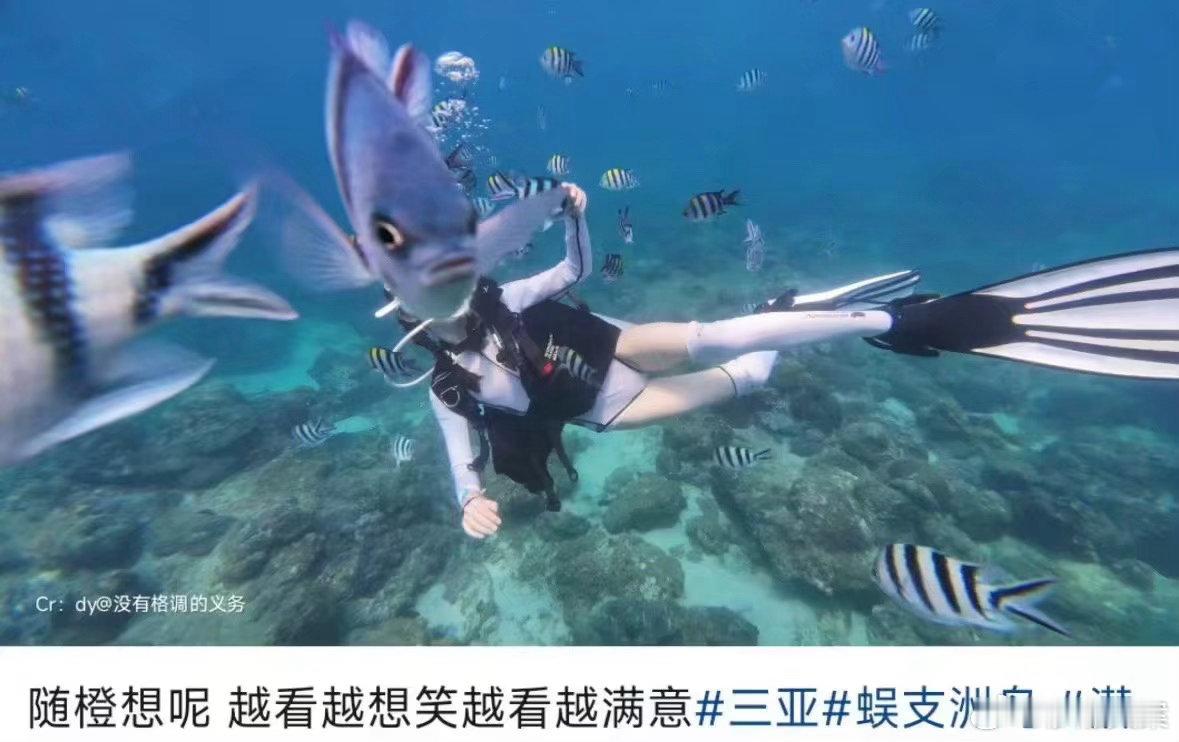 自己花钱反倒给一条鱼拍出了鱼生照片 ​​​