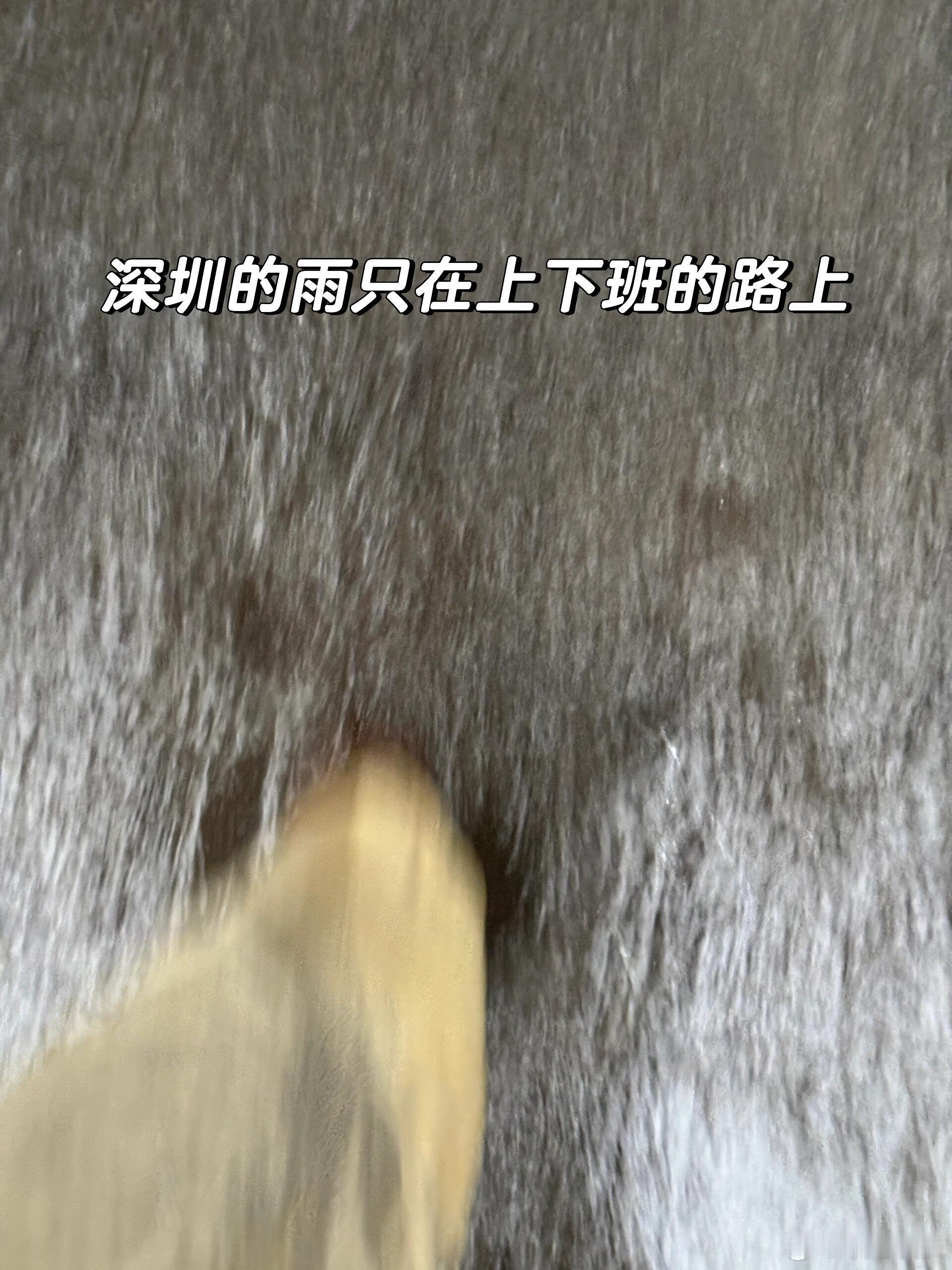 五分钟湿身牛马的一天不是淋雨就是淋雨人间值得有欢喜 ​​​