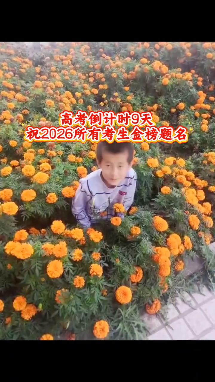 高考倒计时9天，祝2026所有考生金榜题名。