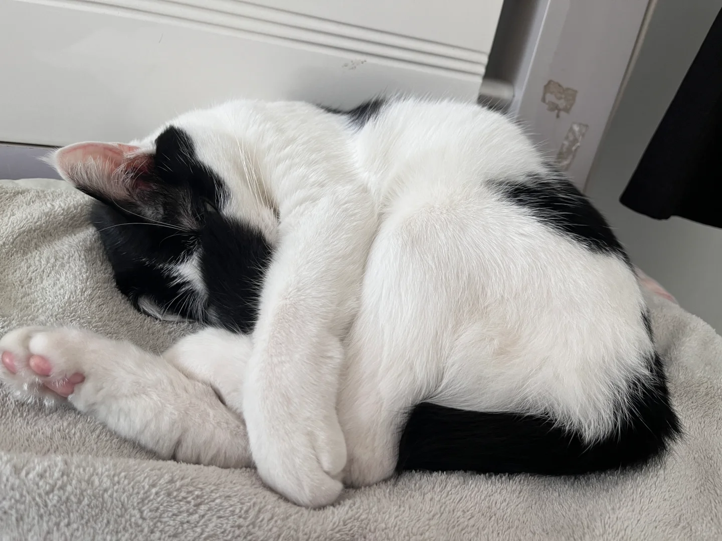 正睡呢，谁拍我！！！！！！！