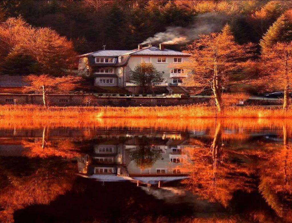 醉秋沥沥……
