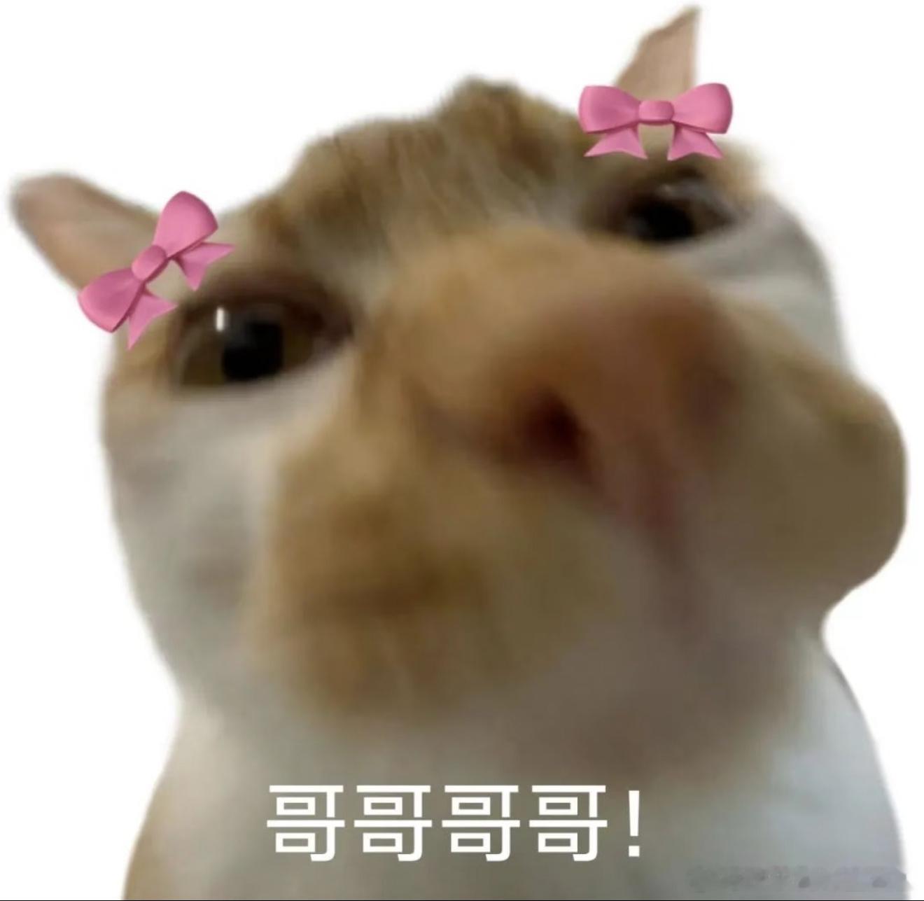 最狠毒的评价就是你老公你老公现在互联网骂人都这么清新脱俗吗？ 刘仁铖：我就发个自