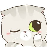 小彤捧娱乐