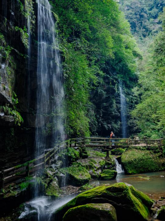 成都1.5h，被国家地理盛赞的宝藏山谷好美
