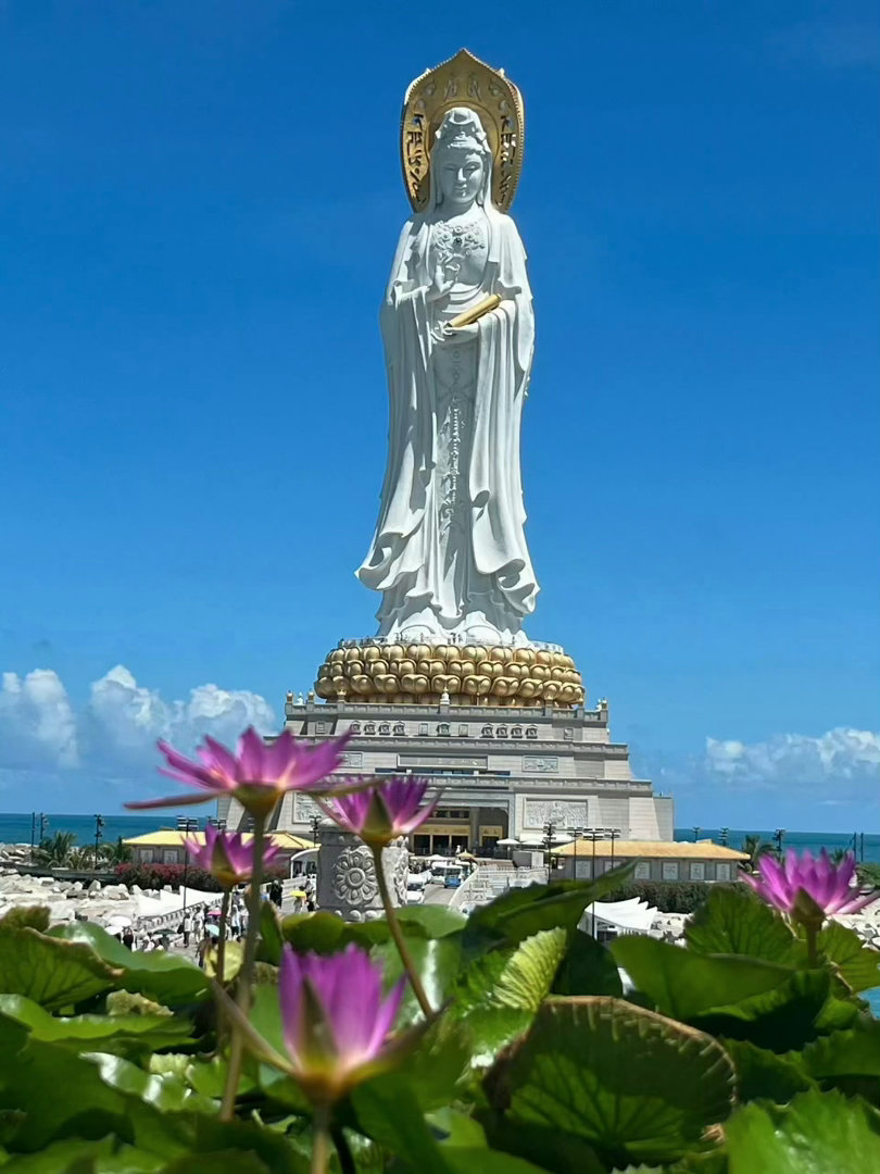 刷到南海观音请不要无视 点个赞吧 真的很灵！ ​ ​​​