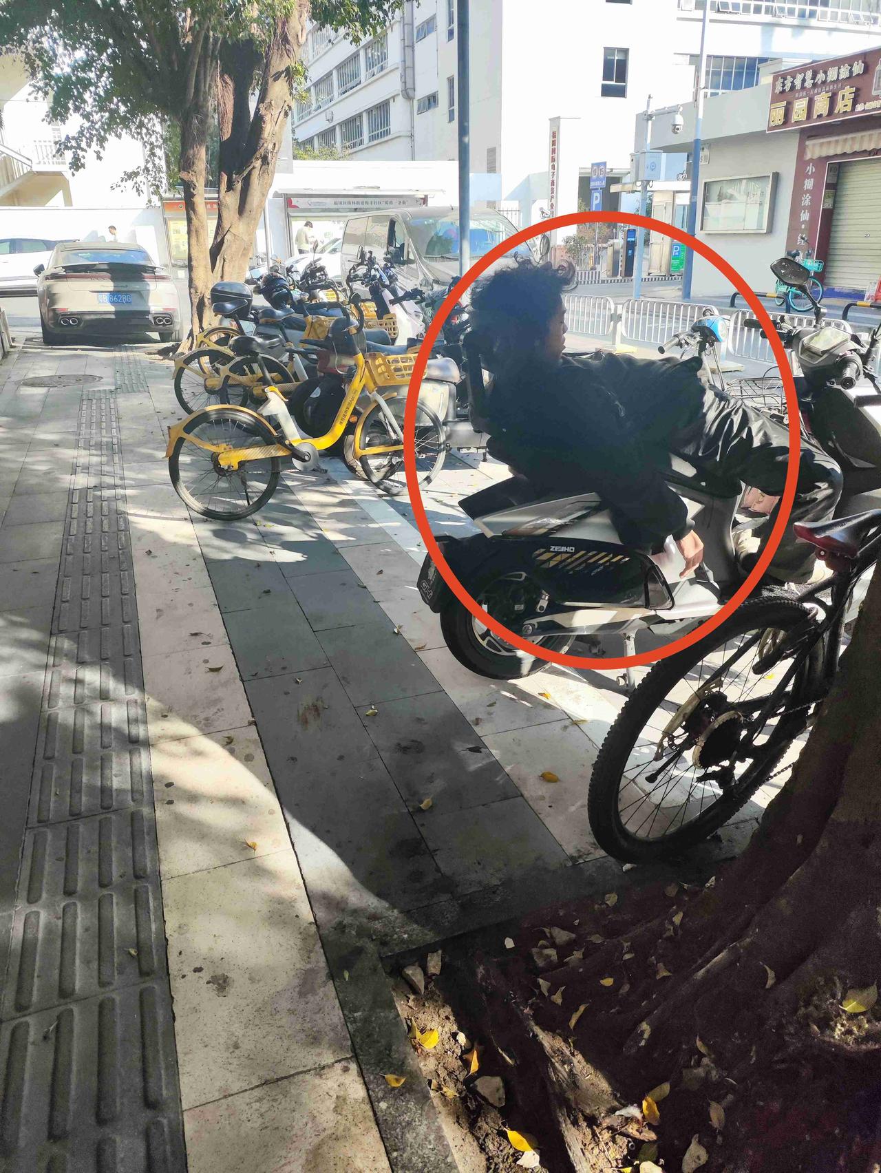 我的今日状态：😁轻松愉快
我这里的天气：☀️晴天
这几天白天经常看到这个小伙子