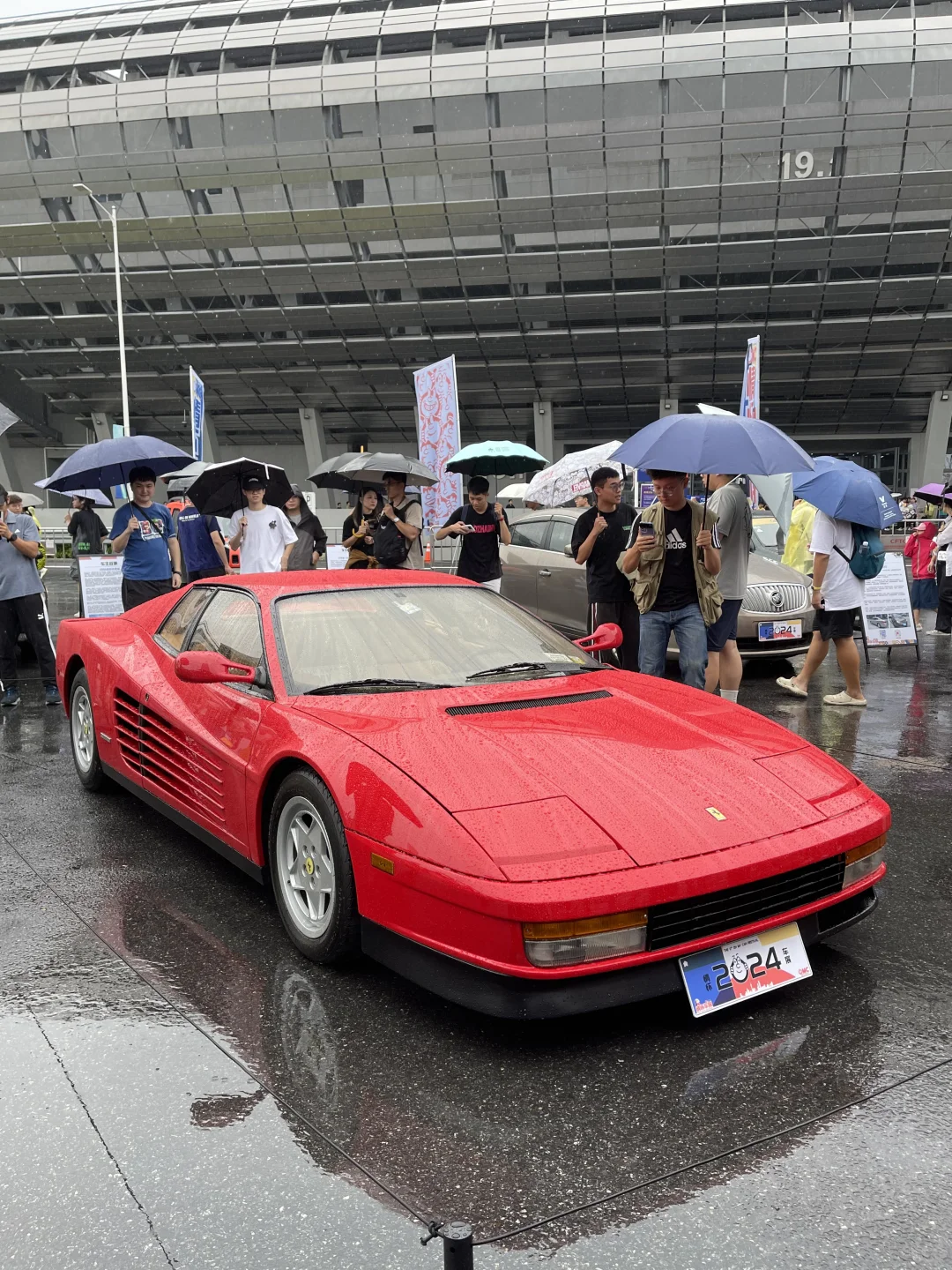 明年来参展