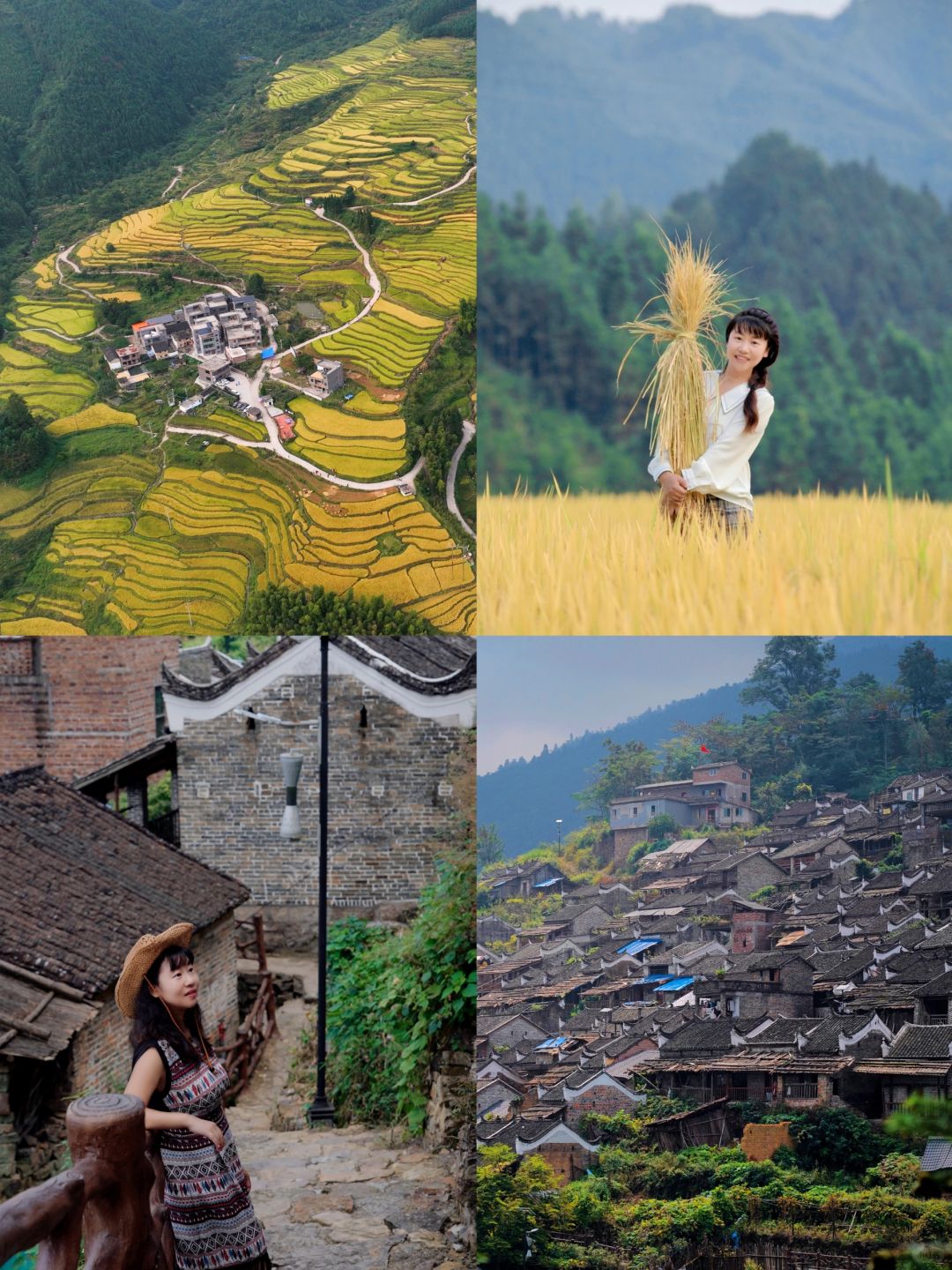 清远免费景点自驾游🚙原始瑶寨+金黄梯田