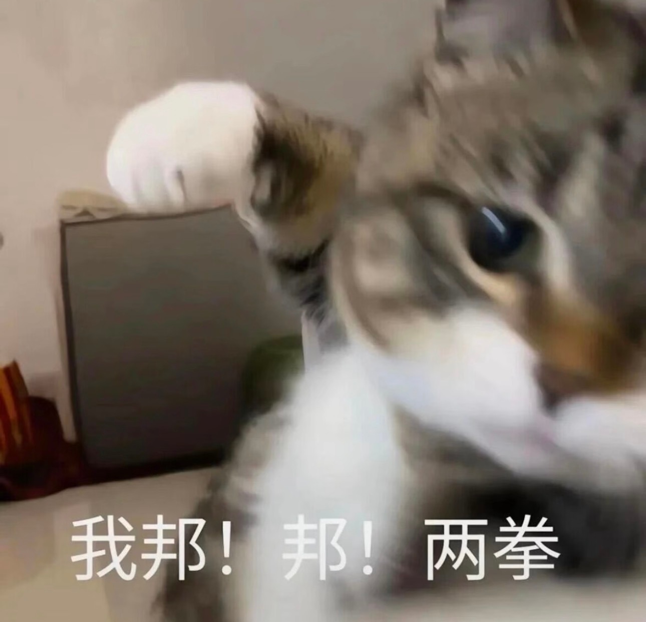 如图所示 