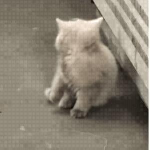 A股今天绿的很稳定，早盘开盘到现在为止，就一直绿成一条横线，无拉升无跳水蛮稳定的