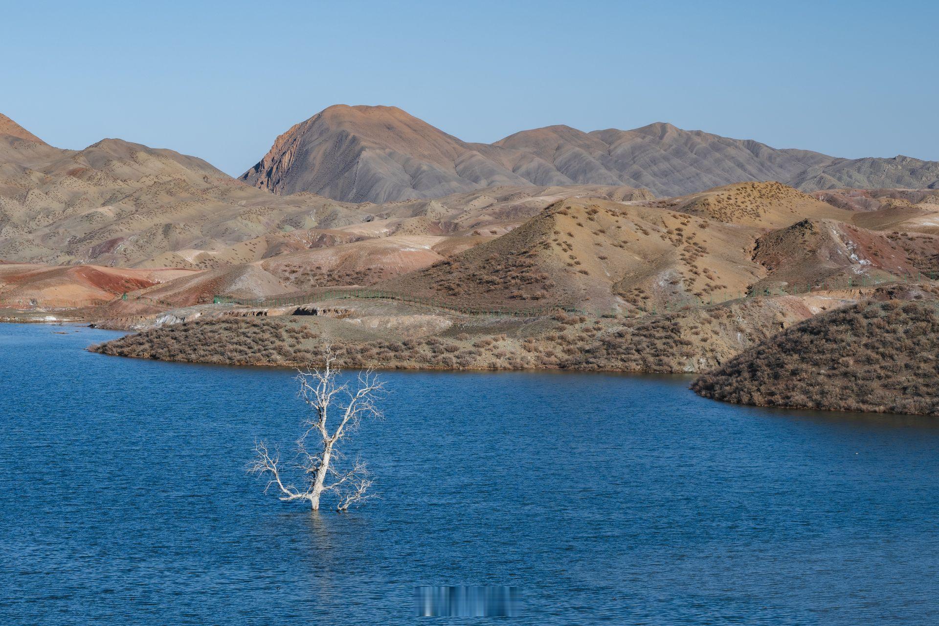 小菌 早朋友们人生那么多事情，为什么一定要有意义呢，去体验就好了 