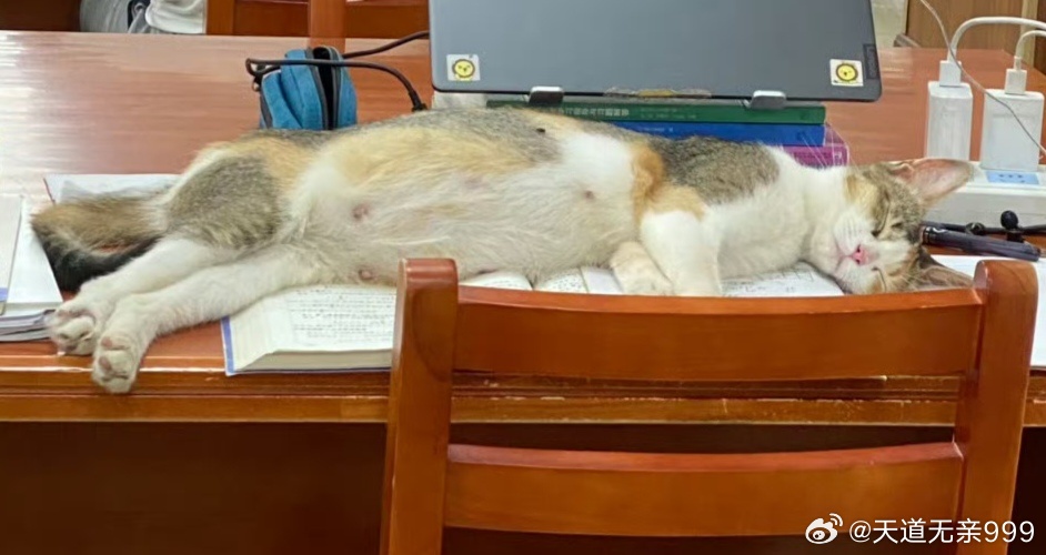 节衣缩食，不是苦，是养命；俭朴度日，是真正的长寿之道。老祖宗们早就讲透了：食少则