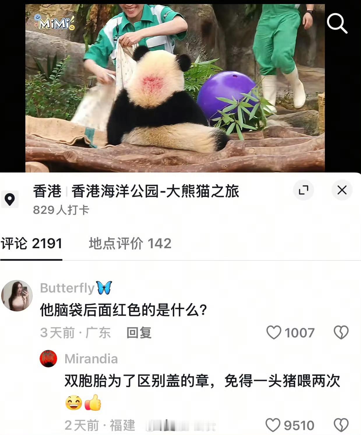 熊猫别看，是恶评[拜托] ​​​