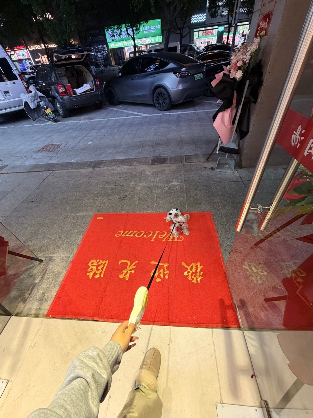 老妈的新店 欢迎来吃 倔狗也在 宁波·单羊一味羊肉汤