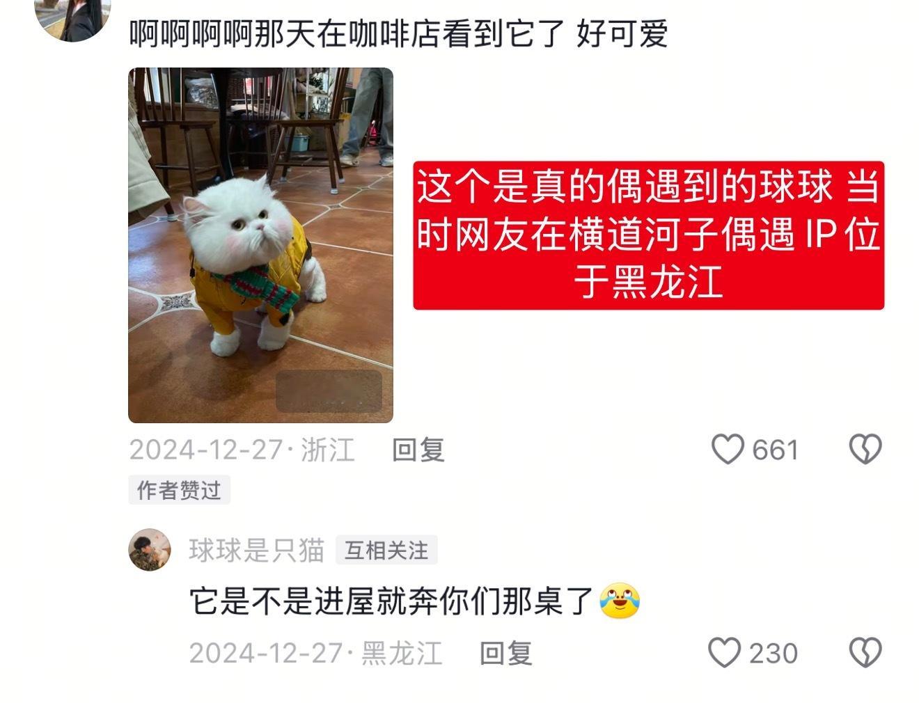 关于最近重庆有一男士带一只矮脚小猫涂和球球同款的腮红，在大街上肆意宣传此猫就是球