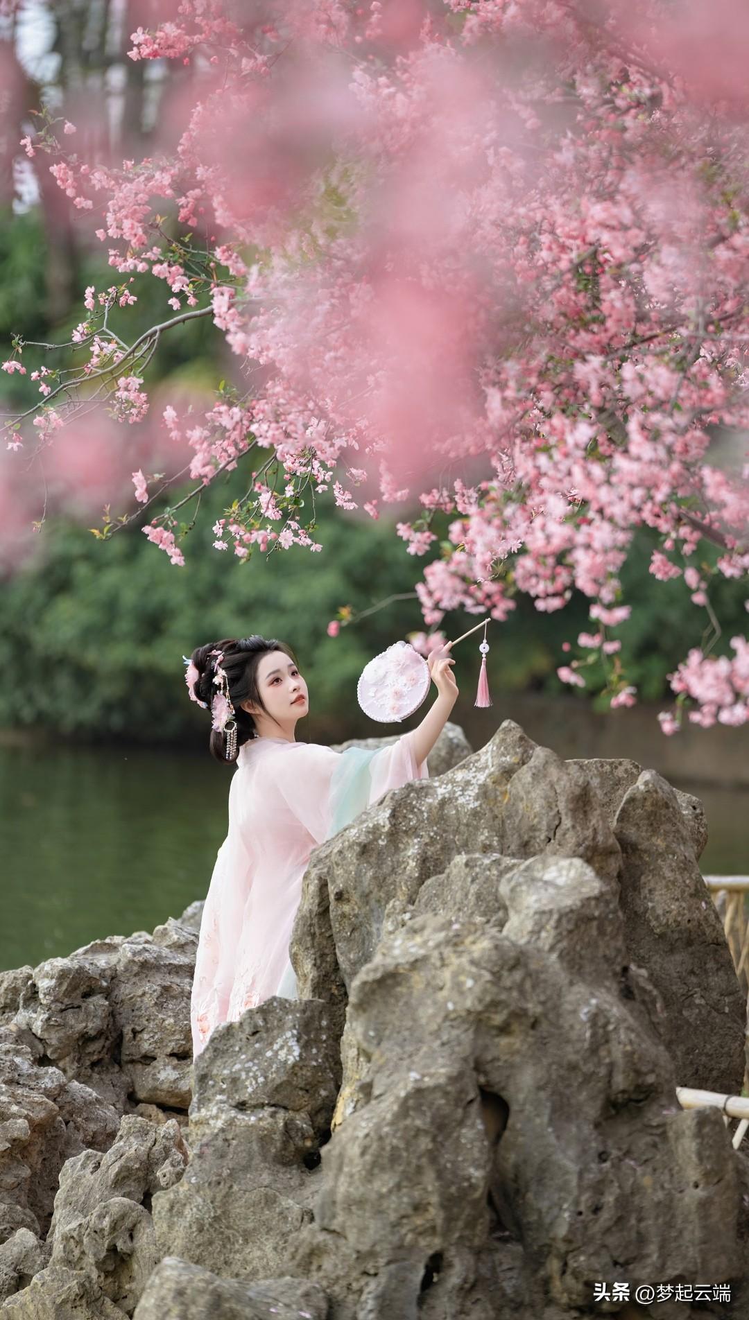 花落人独立，镜中影自怜。