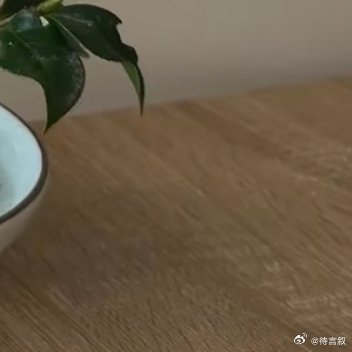 0000种植山茶花1. 选择半阴环境：山茶花喜半阴与温暖湿润，避免强光直射，适合