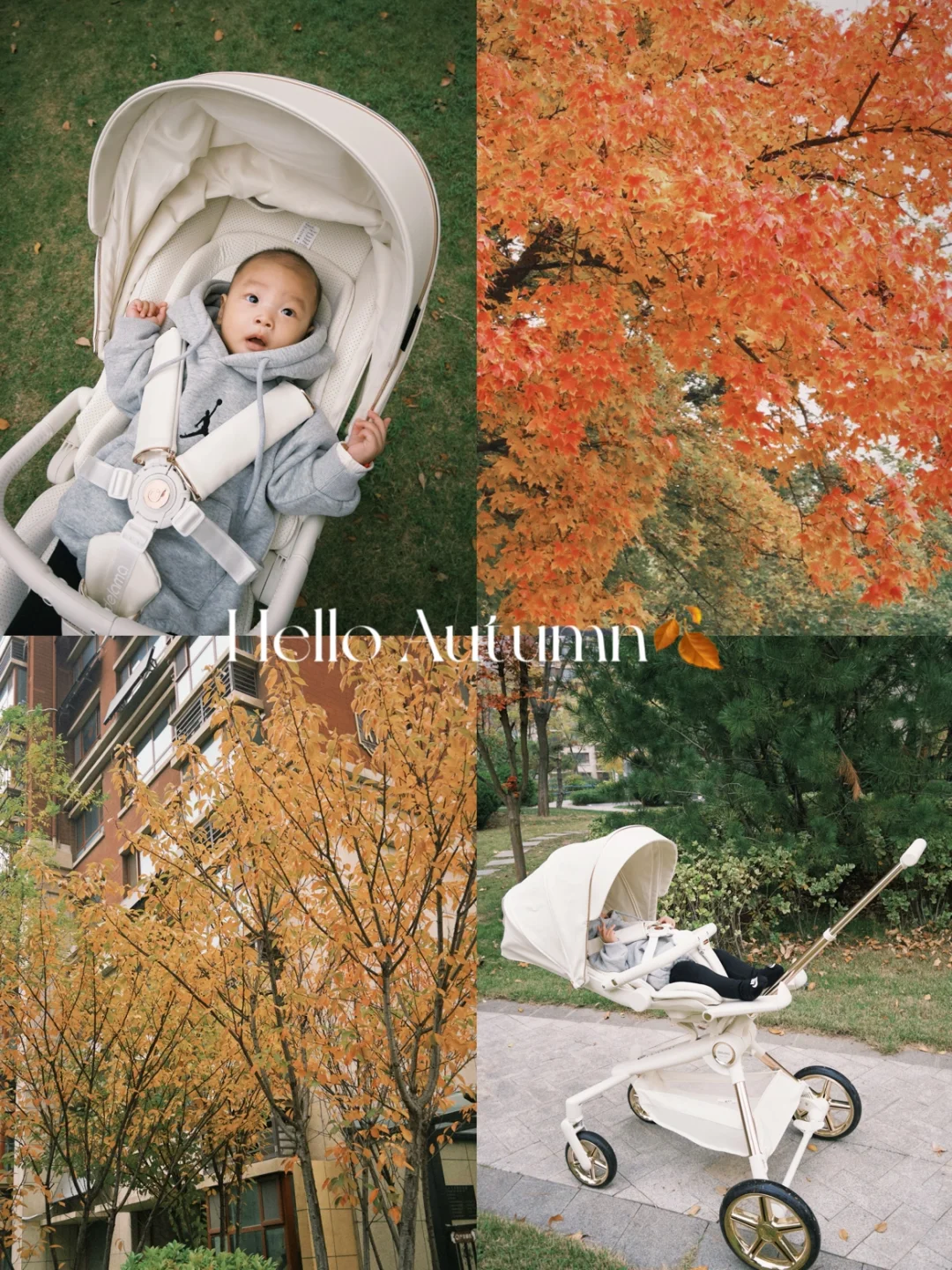 Autumn🍂|带着人类幼崽感受秋天