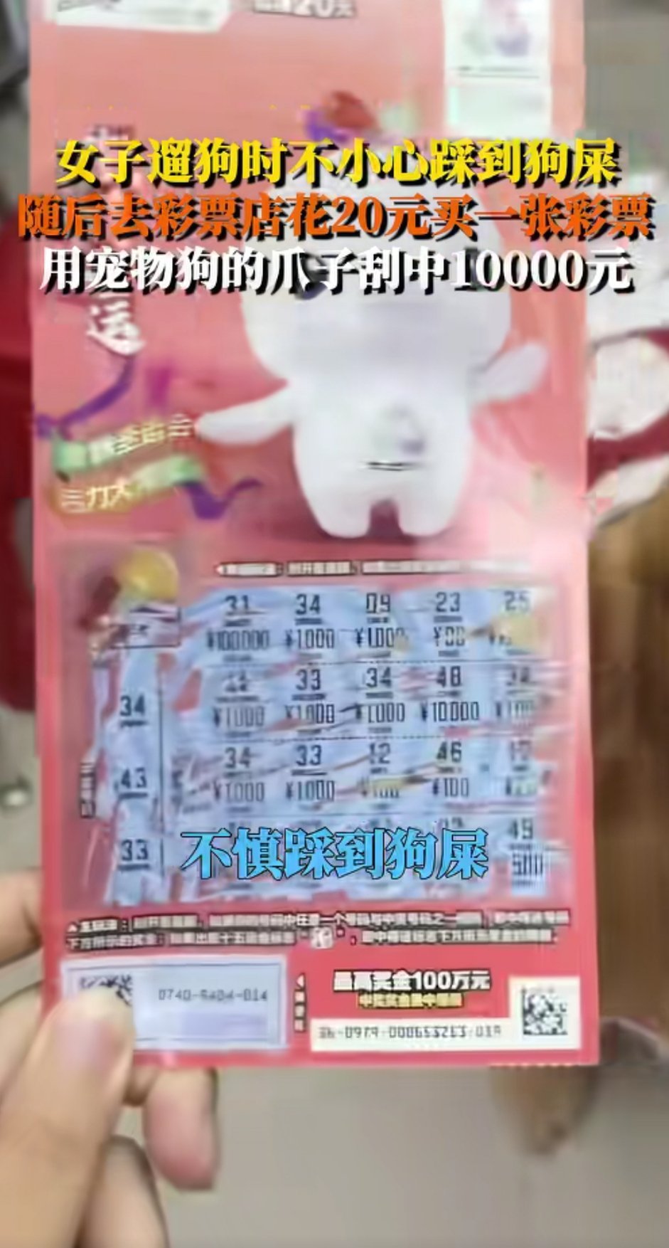 女子踩狗屎后用狗爪刮中1万元 这是什么计 年底了，彩票没人买了咋办？这狗屎运真不