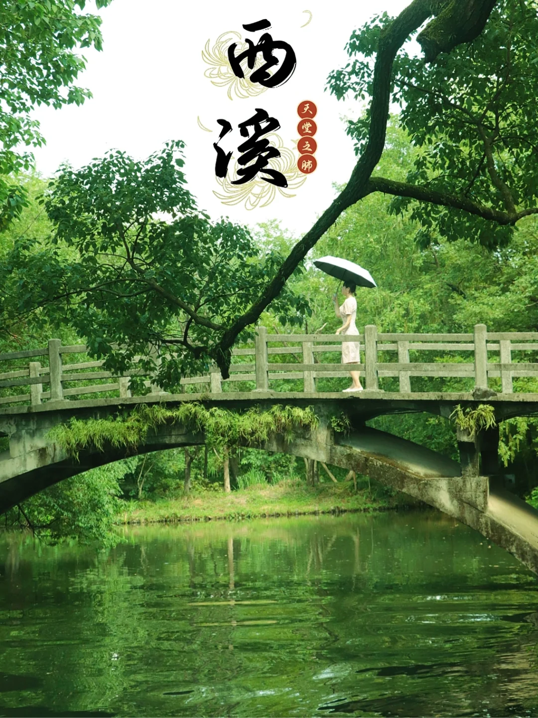 杭州避暑胜地‼️夏天一定要来趟西溪湿地🍃