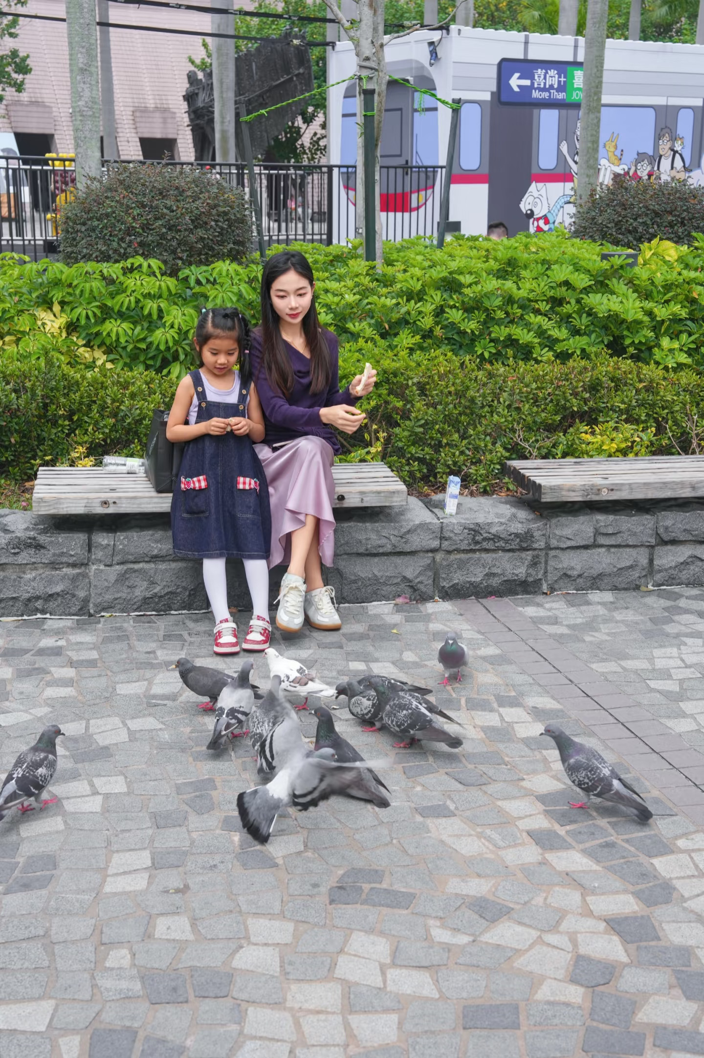 一起去公园喂鸽子吧🦩