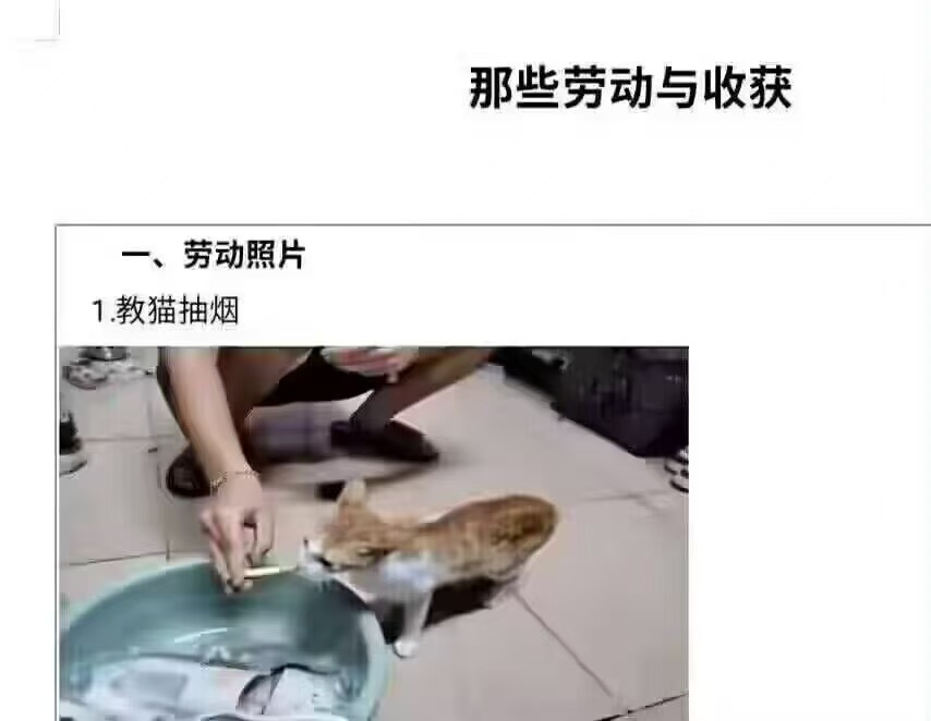 不要教坏小孩！ ​​​