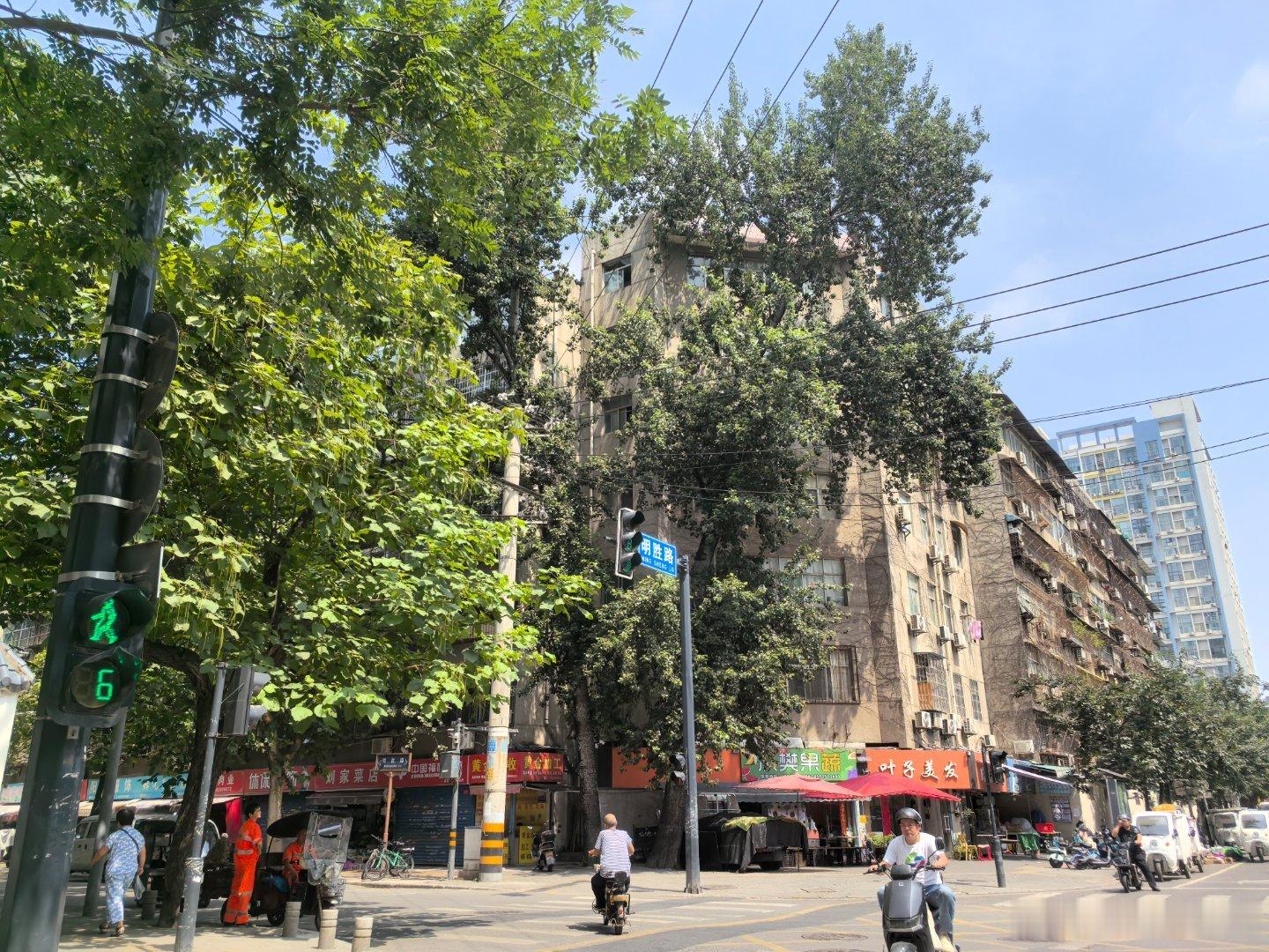 西安旧事 【小巷绿荫赛大街】小巷绿荫赛大街，树荫下面有阴凉。街头法桐枝桠交错，层