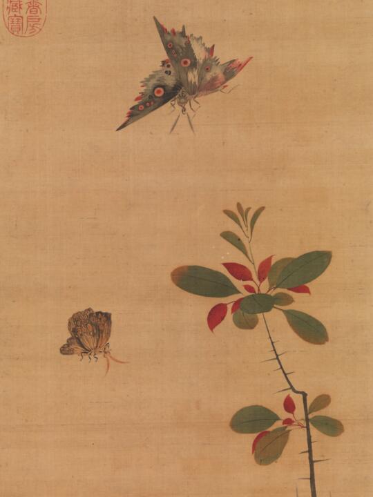 400幅传世名画陈洪绶《花蝶写生图》