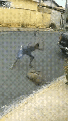 让你咬人，被打死了吧[笑哭]