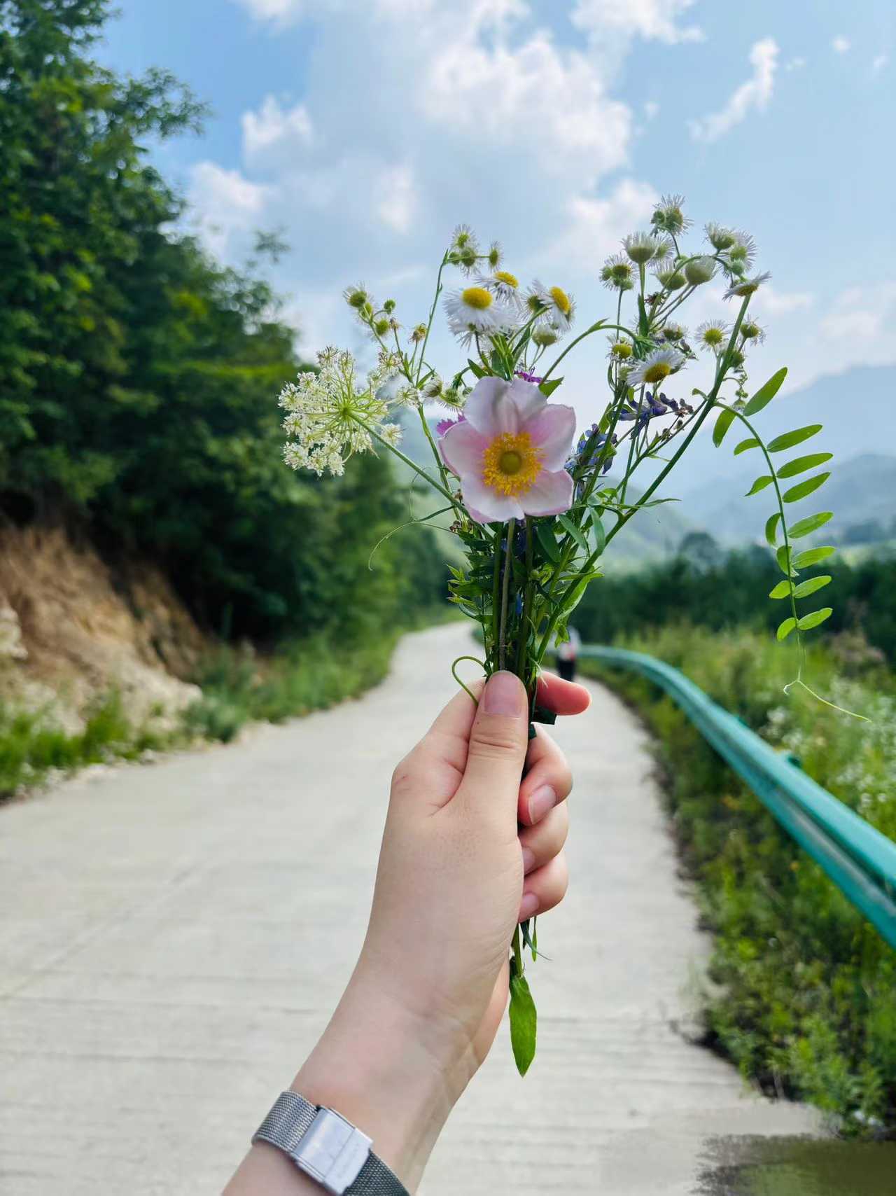 你好2026去岁千般皆如愿，今年万事定称心。我于旧事归于尽，来年依旧迎花开！