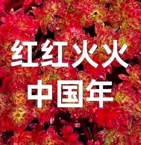 春节放假9天仍感遗憾？千万游子心声：真想过完元宵再返程！


刚刚在网上看到20
