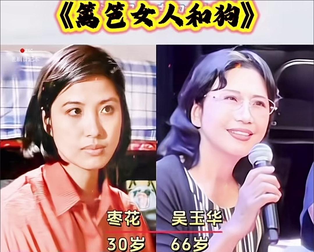 重温经典乡村三部曲，《篱笆女人和狗》《辘轳女人和井》《古船女人和网》，承载着一代