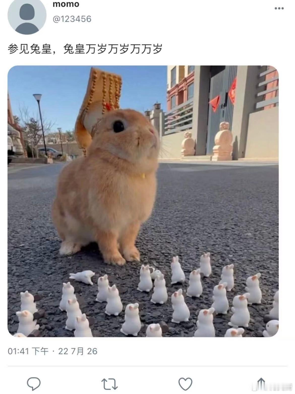 家0 
