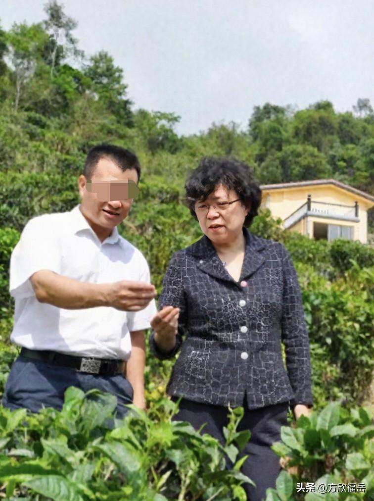 27日，总工会张某被开的消息冲上热搜。抛开个人自身问题客观来讲，总工会作为服务职