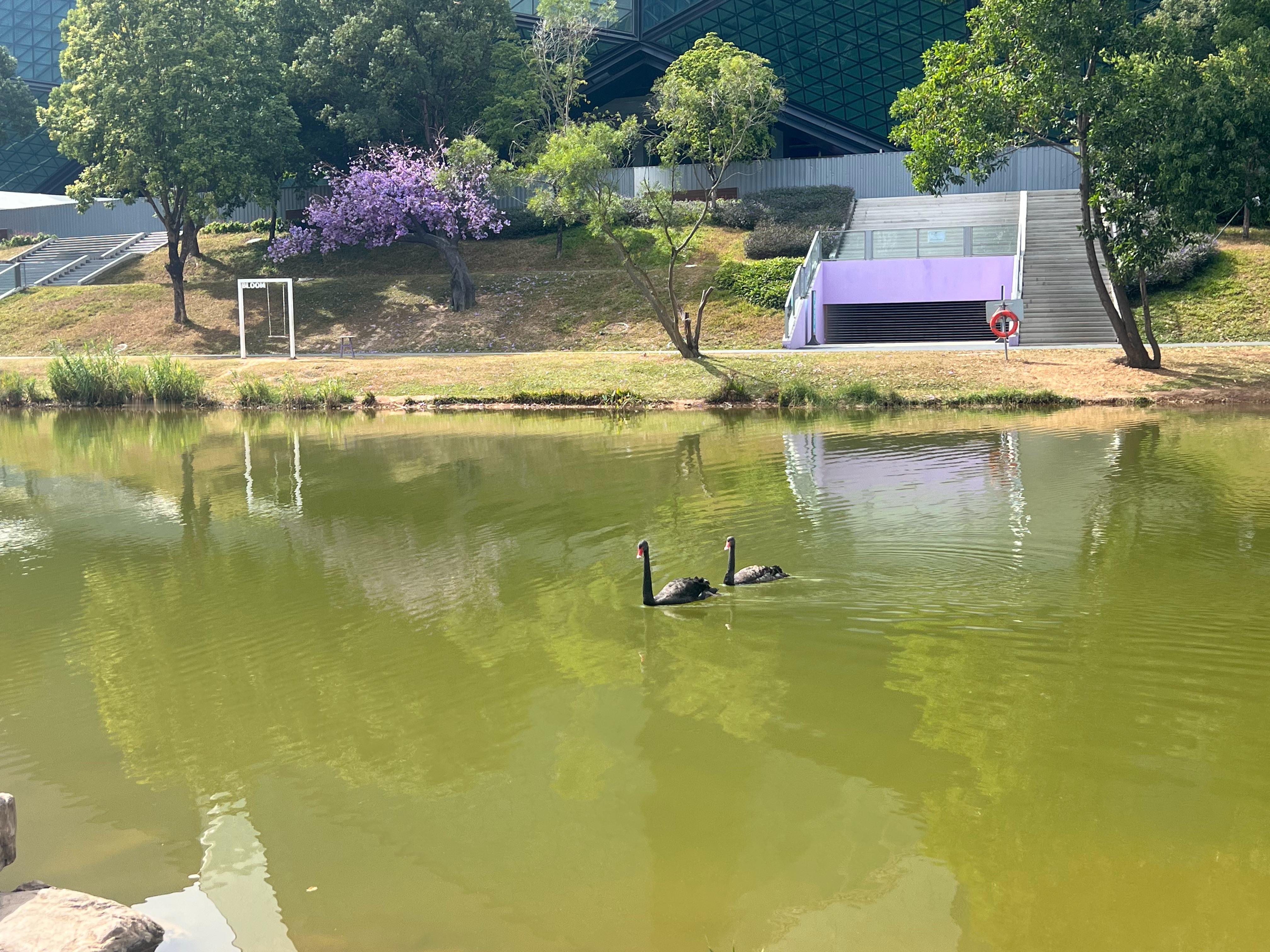 关于内卷    别在别人的赛道里狂奔。    你自有你的节奏和花期。    比较