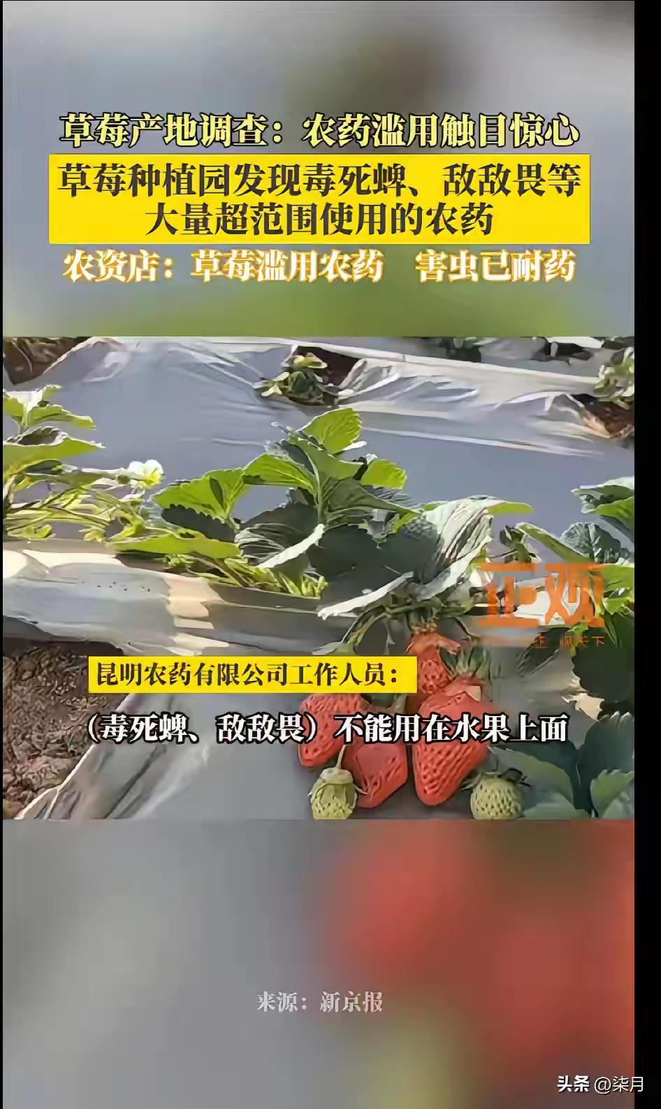 近日，云南食物农药残超标的问题再一次送上热搜了！还记得前几年的腊肉的事件。其实，