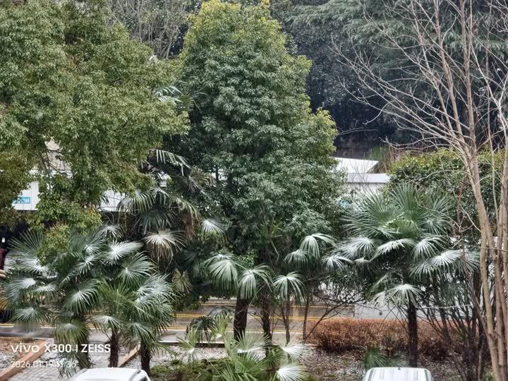 安徽下霰了【刚刚，宝应下雪了！】今日（1月19日）上午9时许，江苏省宝应县天气由