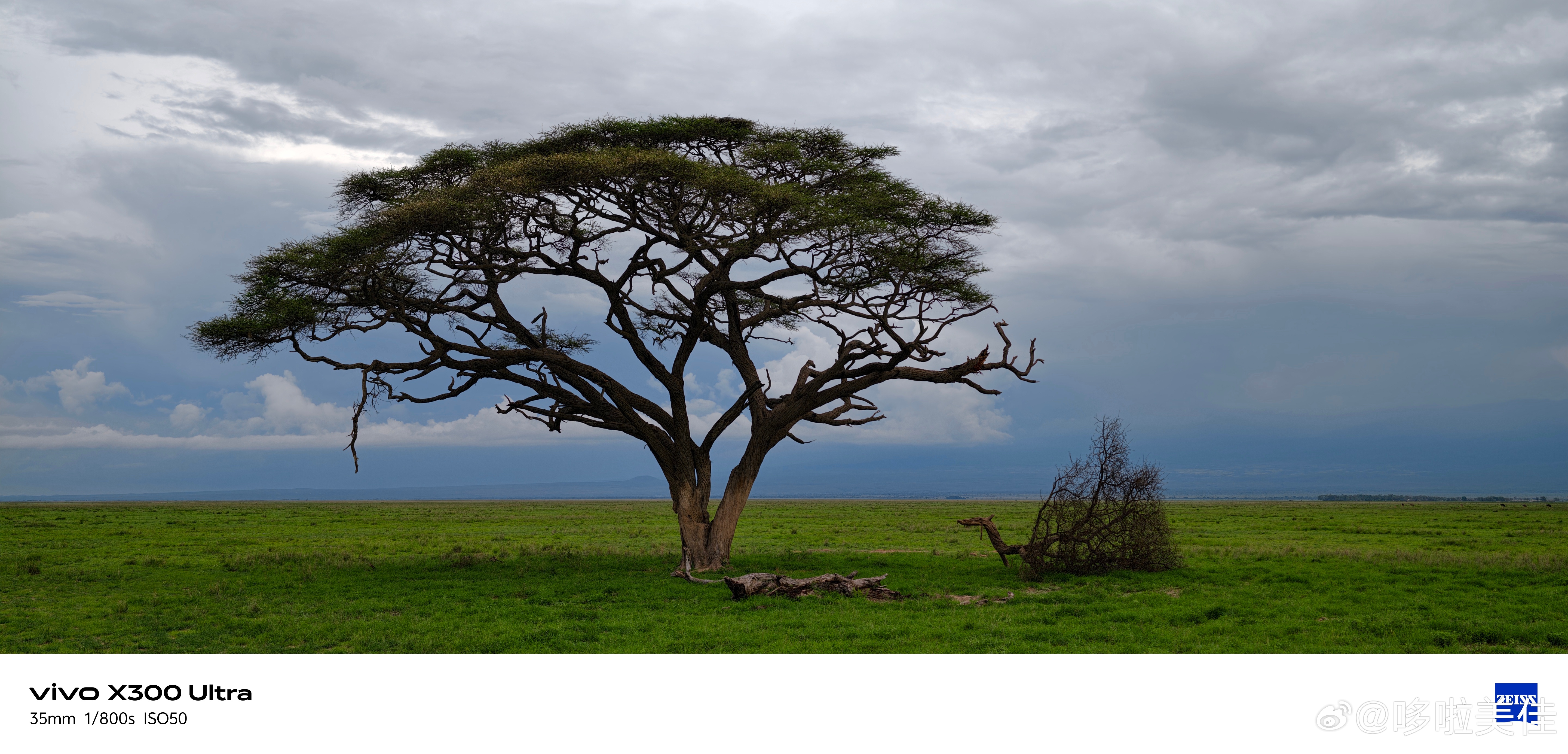 vivo发布了一台相机 说的就是vivo X300 Ultra。从超广角到两亿像