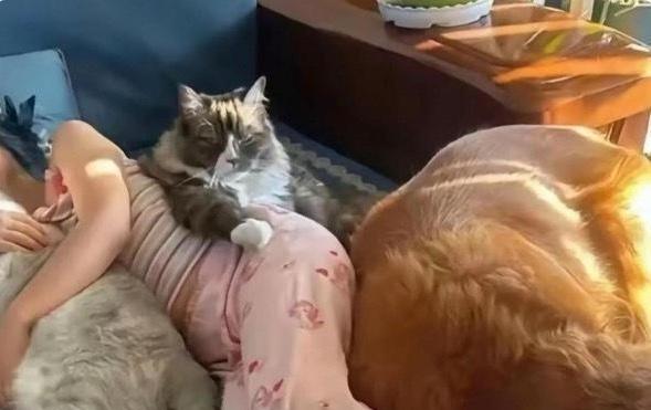 房间里这么多阿猫阿狗的，房间味道你受得了吗？空寂的房间 乱糟糟的小房间