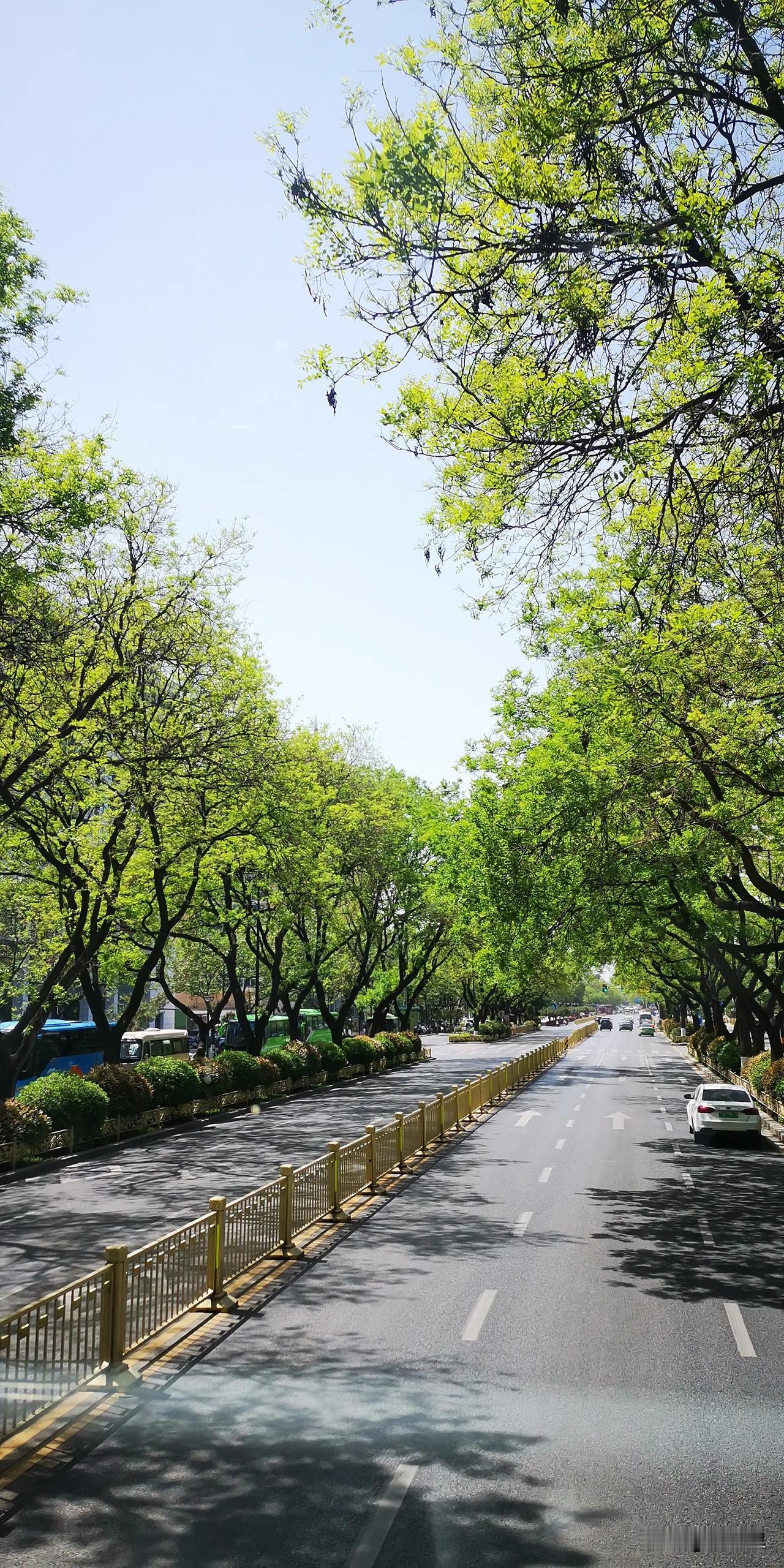 这是603路公交车给的

偶尔坐一下公交车的二楼，也是一种别样的体验