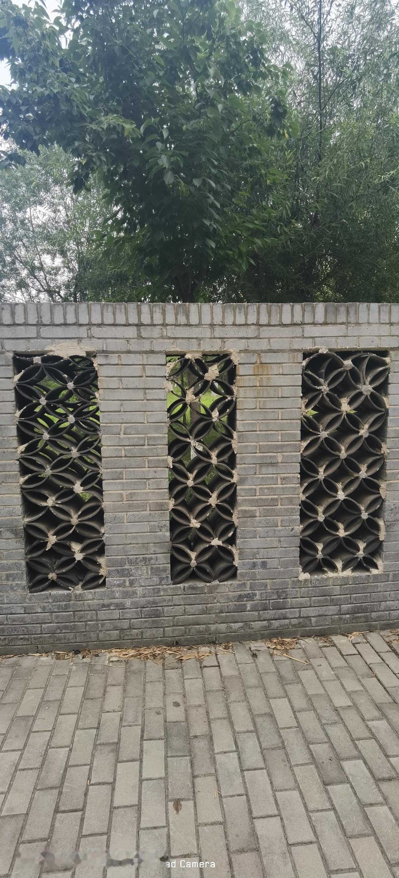 今天早晨到公园，特意关注了一下那几段空花墙，也叫漏明墙，这镂空的花纹不妥妥的是四