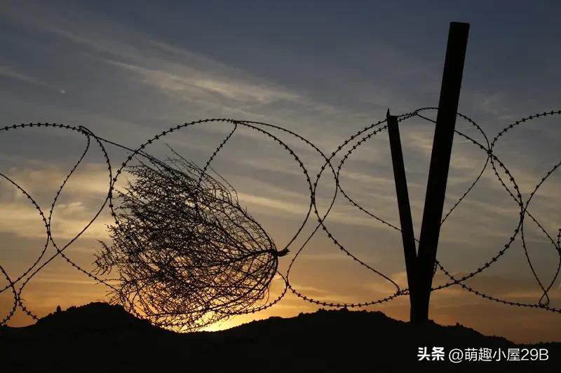 29日，巴阿边境爆发的这场冲突，实在是让人揪心。双方都宣称出现了人员伤亡。边境冲