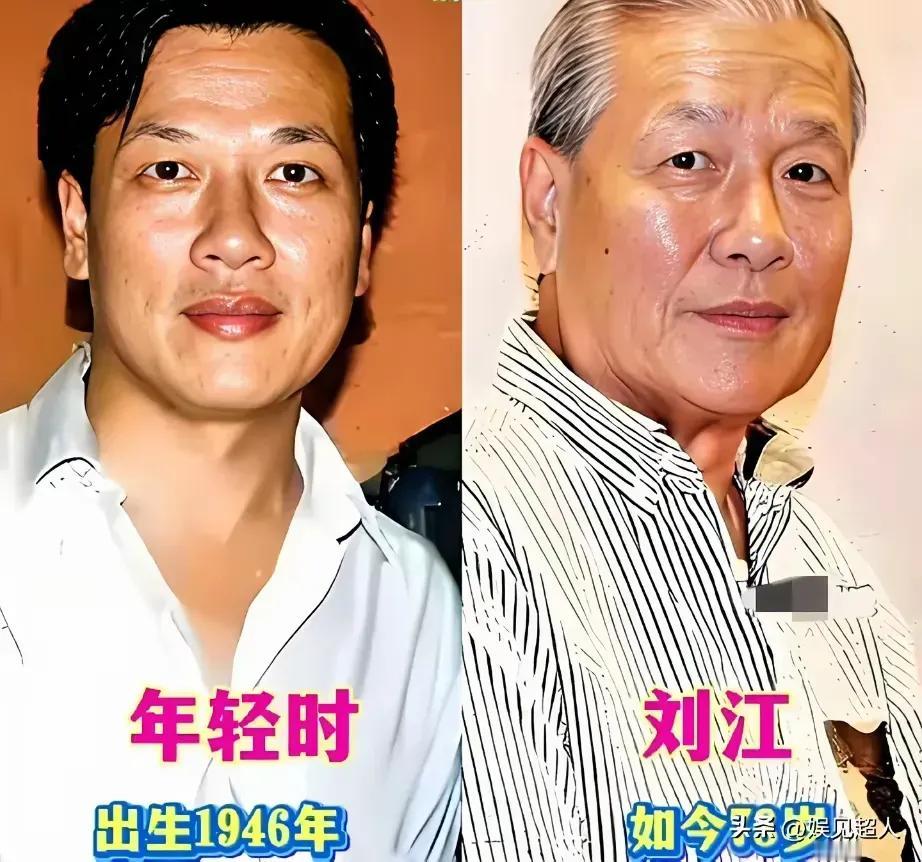 刘江一位好演员，有时候只通过一个眼神，观众就能猜测到他内心的活动，他的表演多会看