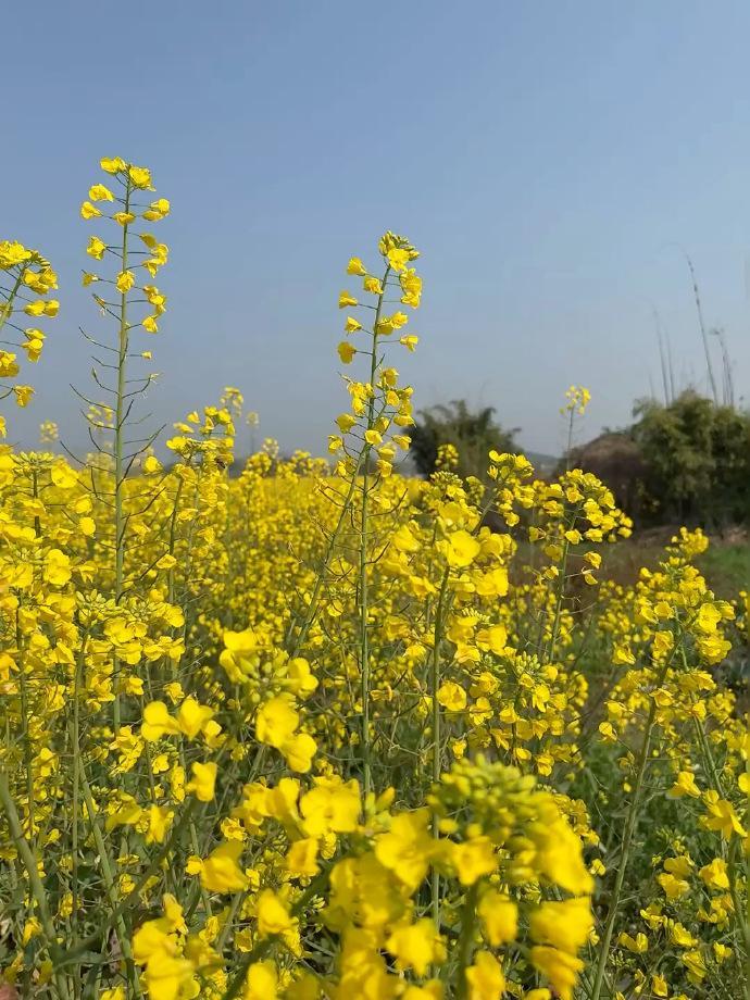 医生偷偷少喝的9种“健康饮品”，第7种你绝对想不到

前两天去医院看老同学，他已