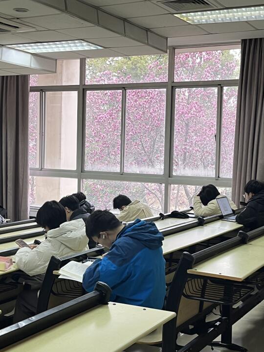 3.4华科玉兰花live实拍📷想出片的快冲‼️